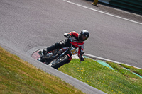 cadwell-park;cadwell-park-photographs;cadwell-trackday-photographs;enduro-digital-images;event-digital-images;eventdigitalimages;peter-wileman-photography;racing-digital-images;trackday-digital-images;trackday-photos